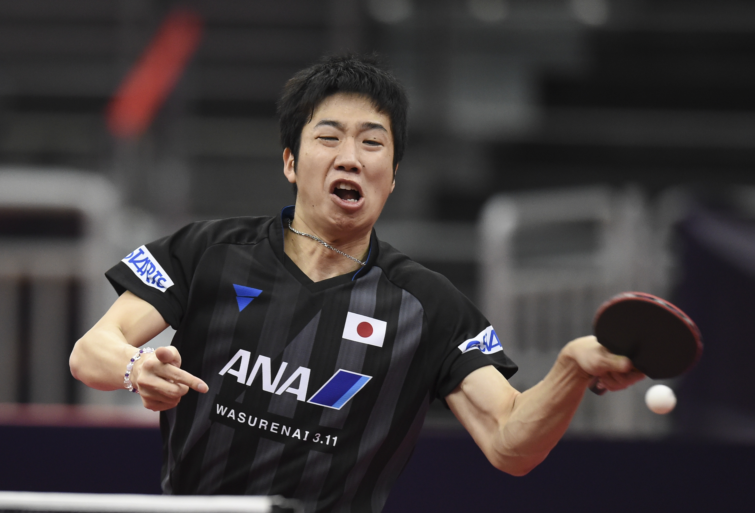 中国乒乓球队血洗德国乒乓球队，水谷隼惊艳世界的简单介绍