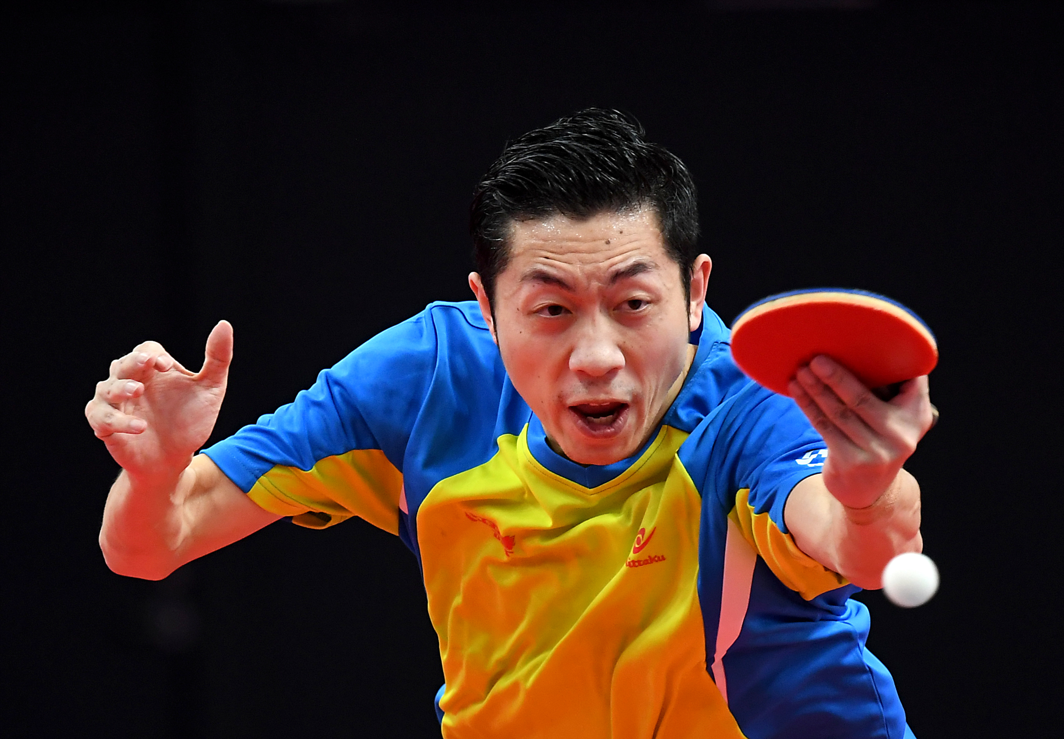 包含中国乒乓球队完胜比利时乒乓球队,许昕统治全场的词条 包含中国乒乓球队完胜比利时乒乓球队,许昕统治全场的词条