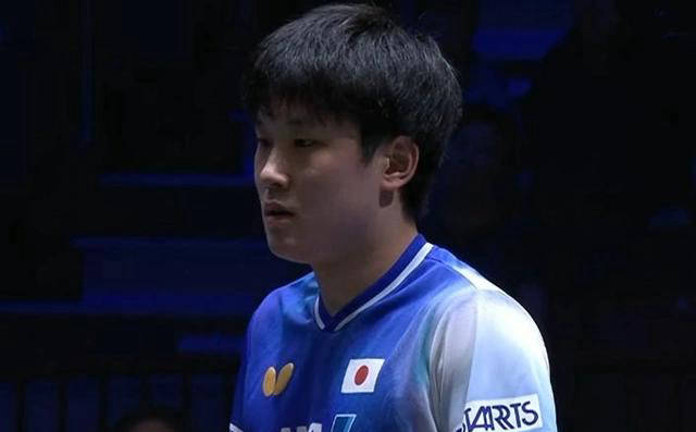 波兰乒乓球队血洗奥地利乒乓球队，张本智和统治全场的简单介绍