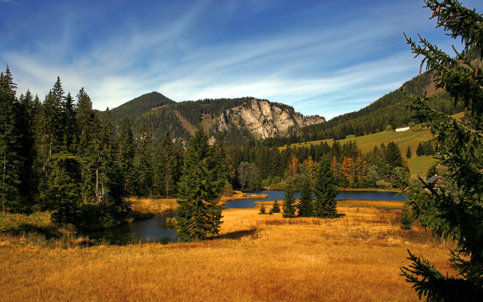 2026世界杯之夜，戈麦斯用实力书写传奇