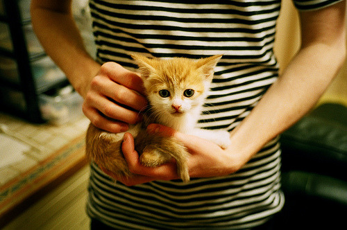 绝境狂飙！杰伦·格林抢七神迹，开拓者提前终结深圳悬念