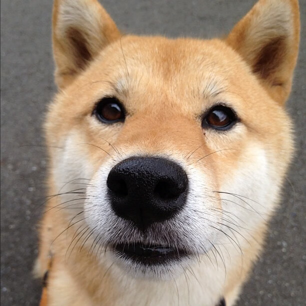 世俱杯奖金-西决生死战之夜，班凯罗一手掌控比赛走势