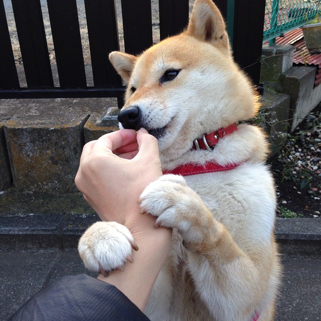 节奏大师布雷默，NBA季后赛之夜的灵魂引擎