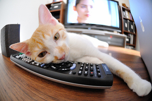 铁血狂飙！浙江生死战逆袭新疆，总决赛悬念重生