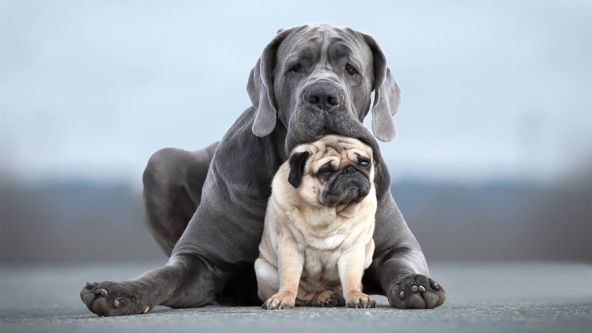 范弗利特暴走轰35+10!火箭攻防体系全面压制雄鹿,重建蓝图已见雏形