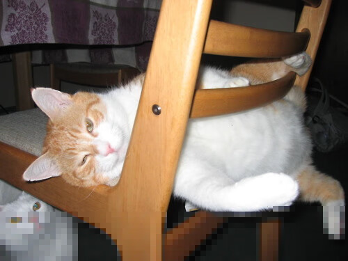 当洛杉矶快船遇见上海大鲨鱼，欧文才是真正的大场面先生