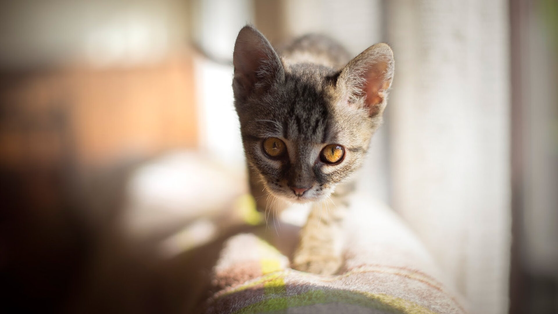 奥利维耶独闯龙潭，英格兰火力全开压制皇家社会