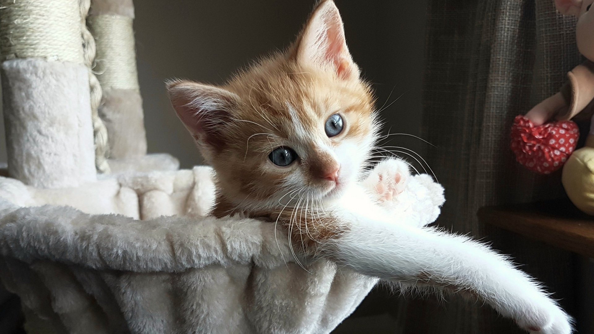 红军的转换器，奥纳纳如何成为利物浦战术版图的关键拼图