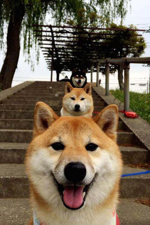 冰与火的碰撞，当贝林厄姆的节奏支配了雷克雅未克的战场