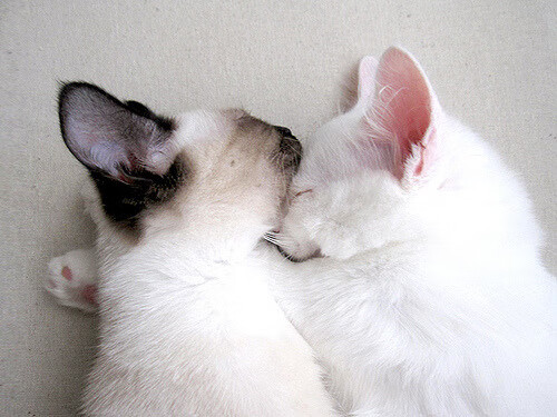 冷锋过境，毕尔巴鄂绝杀苏格兰，孔德铸就关键先生之名