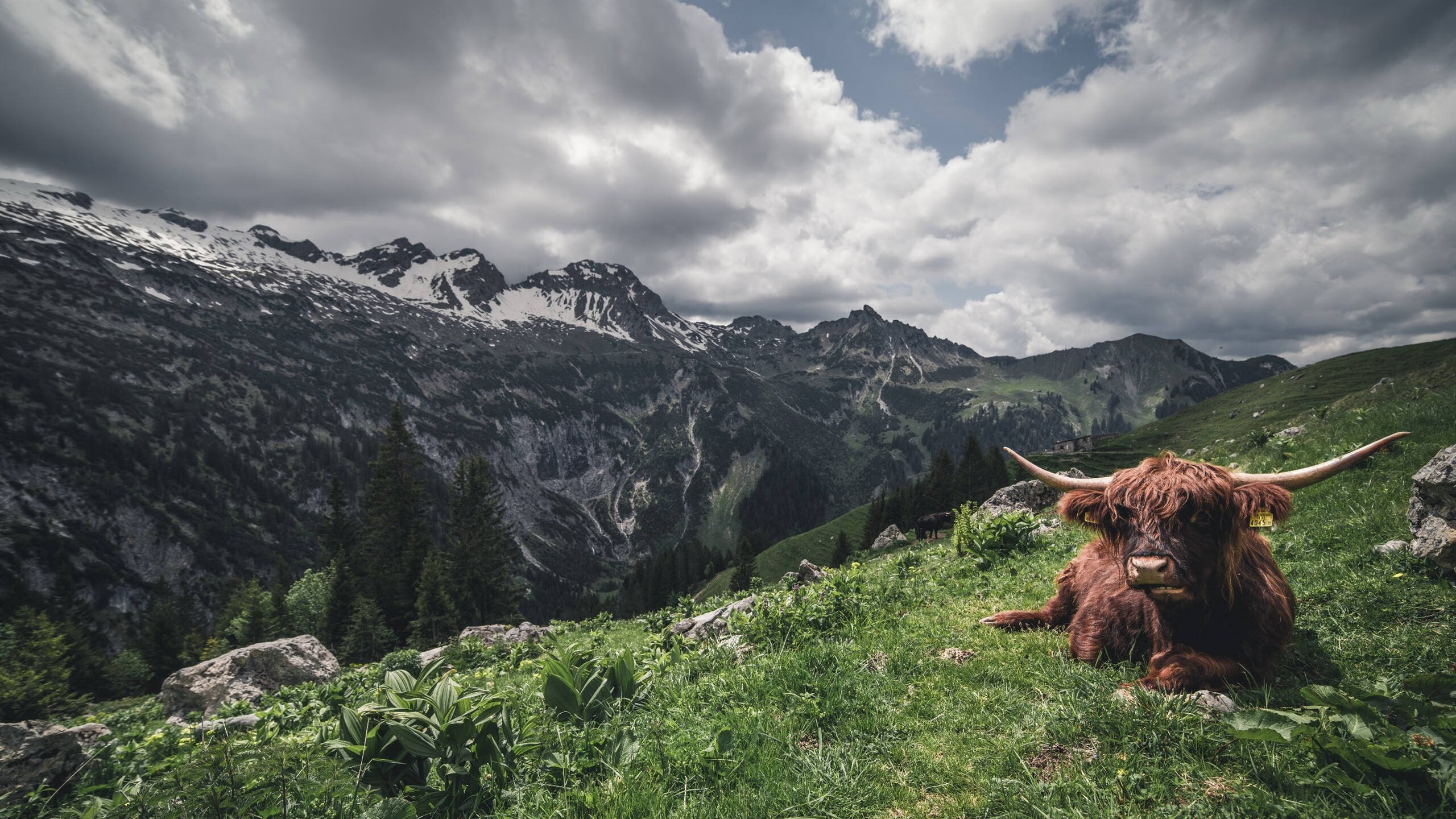 世俱杯-跨界胜负手，当哈治茨的冷血点燃NBA季后赛之夜