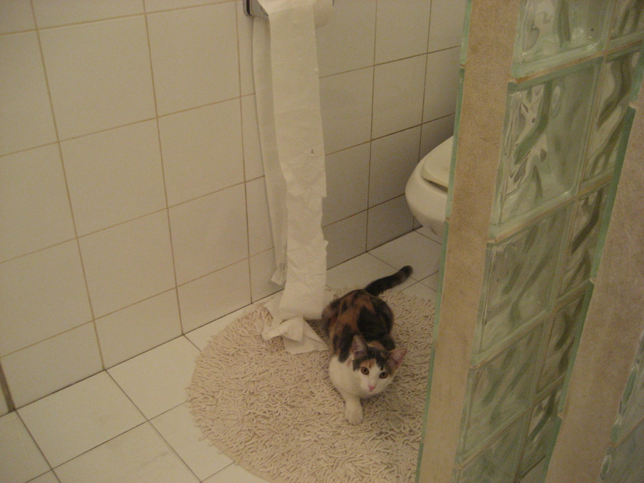 热火压制森林狼，利拉德欧冠决赛级接管引领篮球盛宴