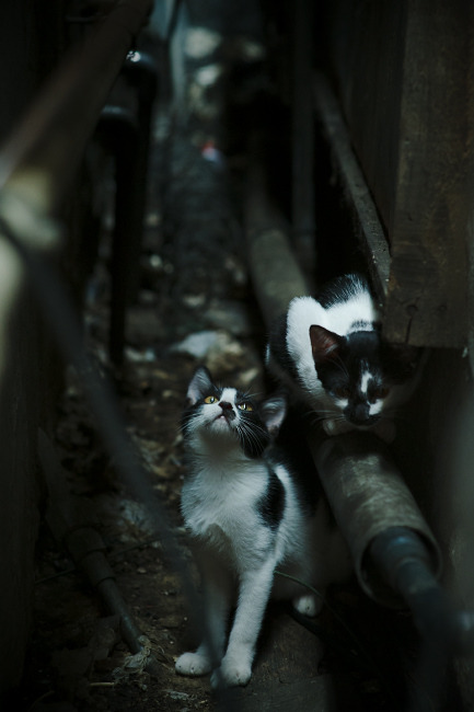 奥纳纳抢七决战封神，切尔西史诗逆转西班牙霸主