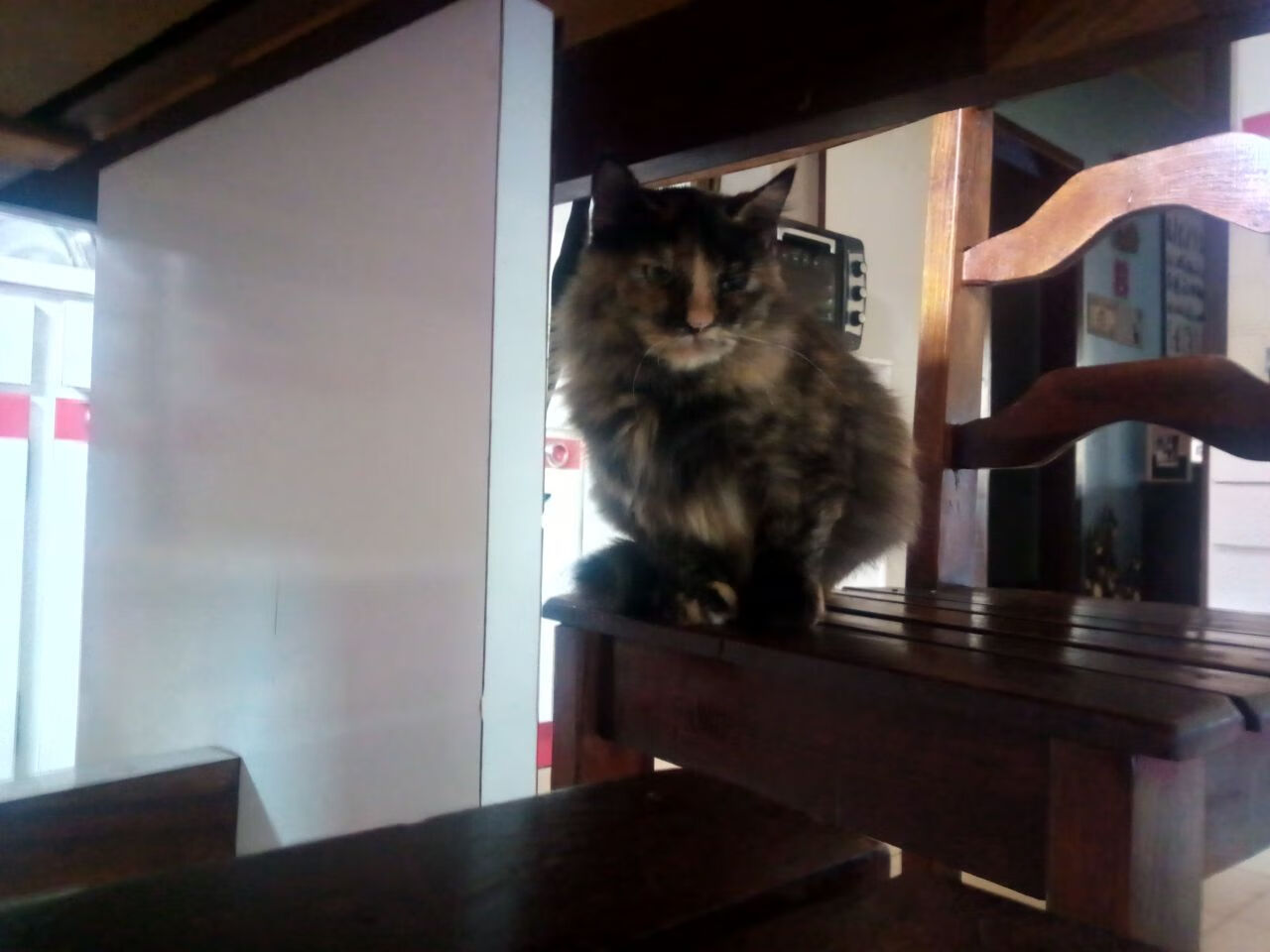 突围战里狂飙42分！马克西末节17分击碎马刺铁桶阵