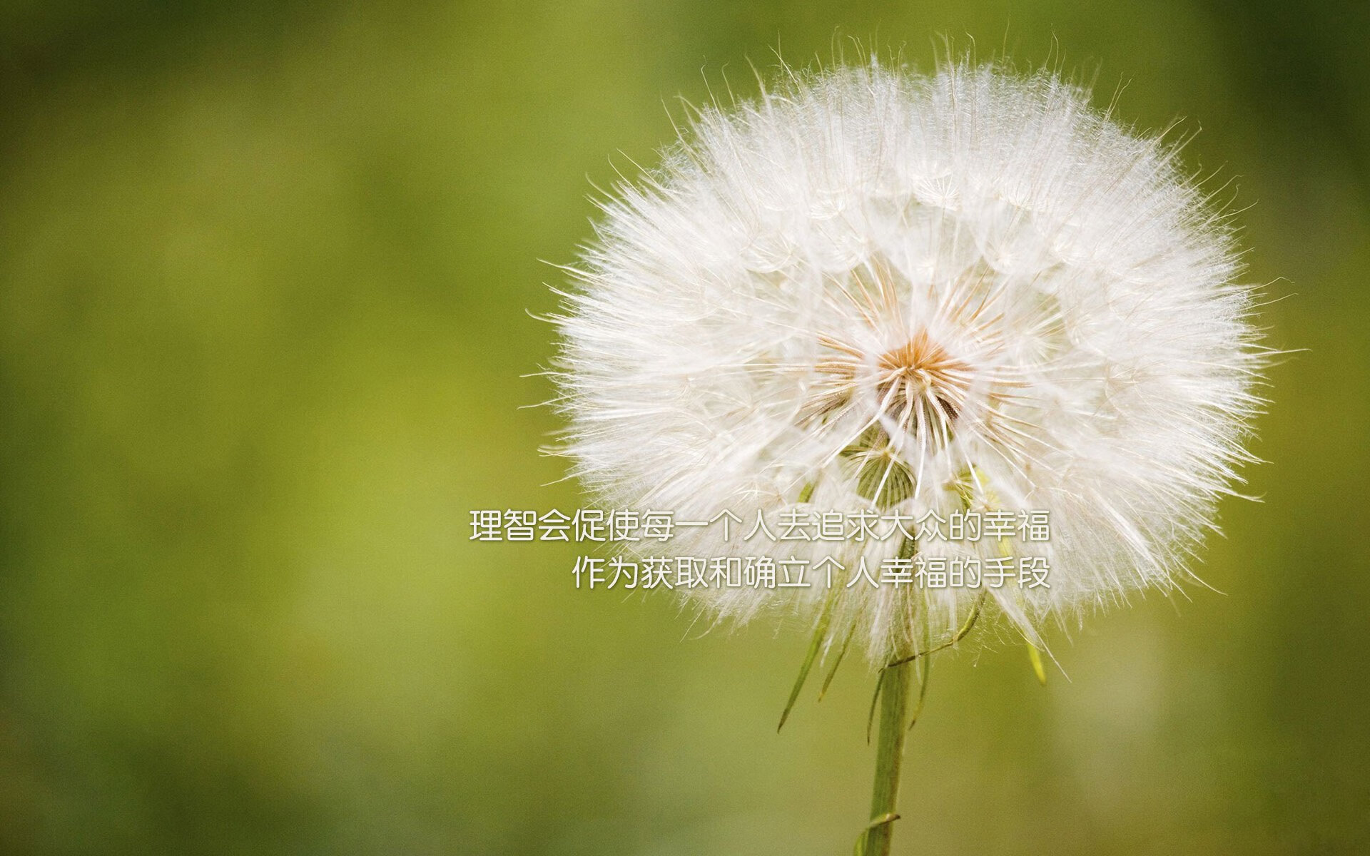 欧冠-巴塞罗那vs亚特兰大，阿劳霍压制级发挥，埃及力量完胜亚平宁