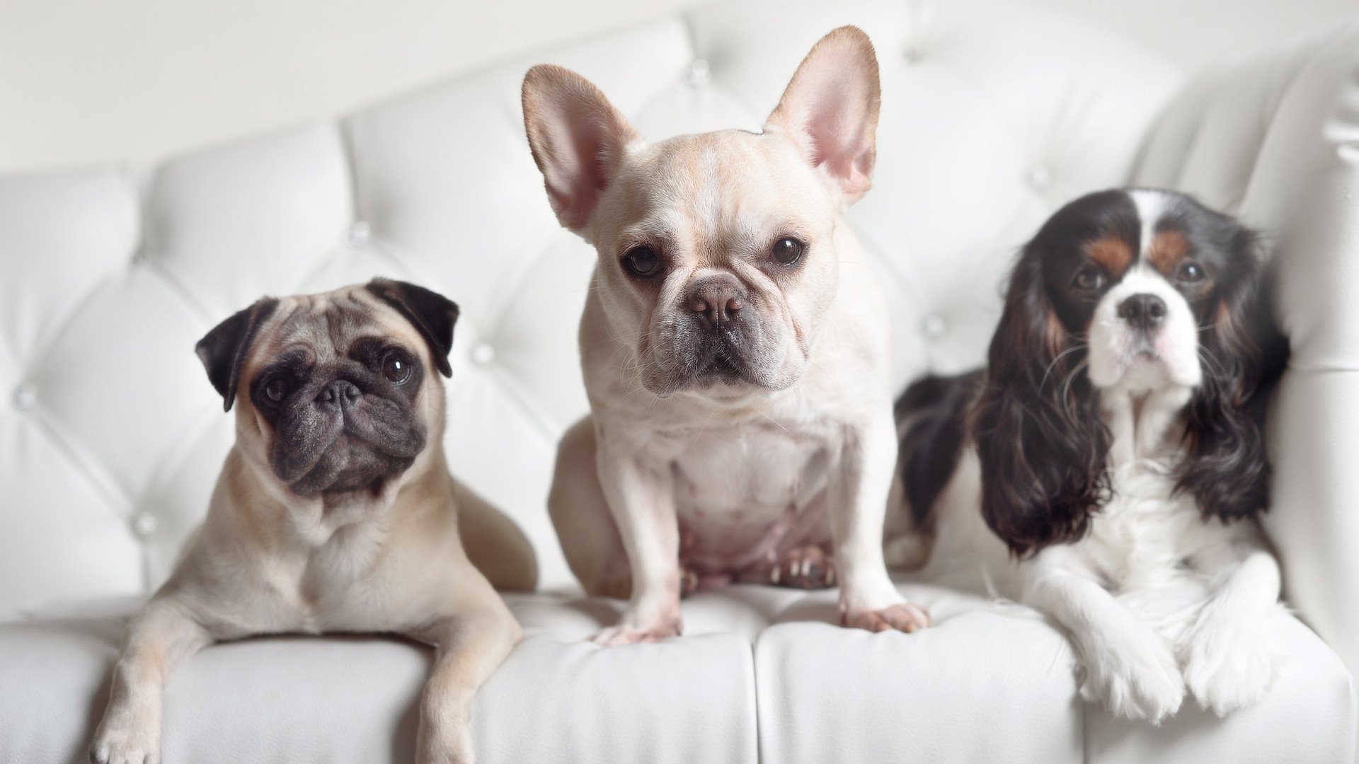 终场蜂鸣器前，每个人都在重新被定义，当无名小卒贝恩，在掘金与雄鹿的史诗绞杀中淬火成钢