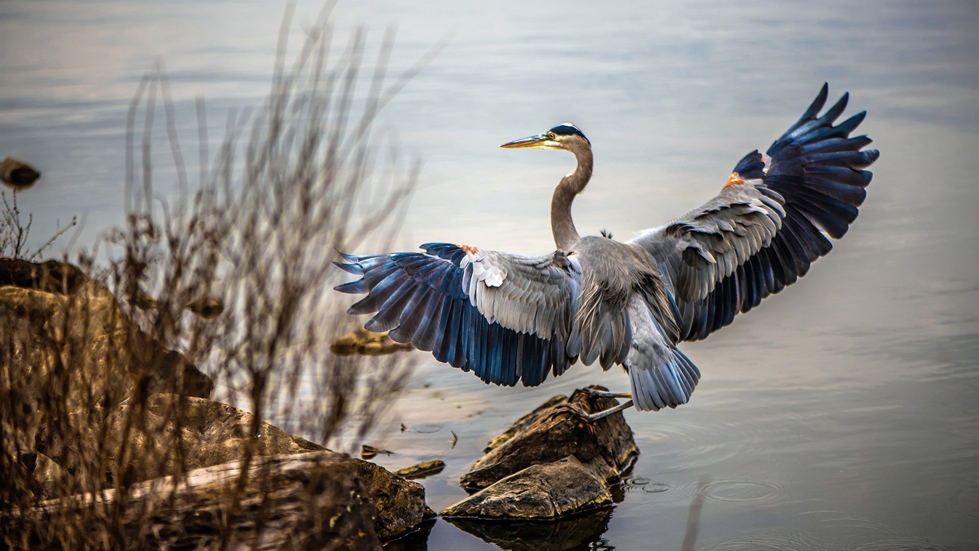 世俱杯-贝恩生涯之夜闪耀，活塞跨洲对决击败吉林队