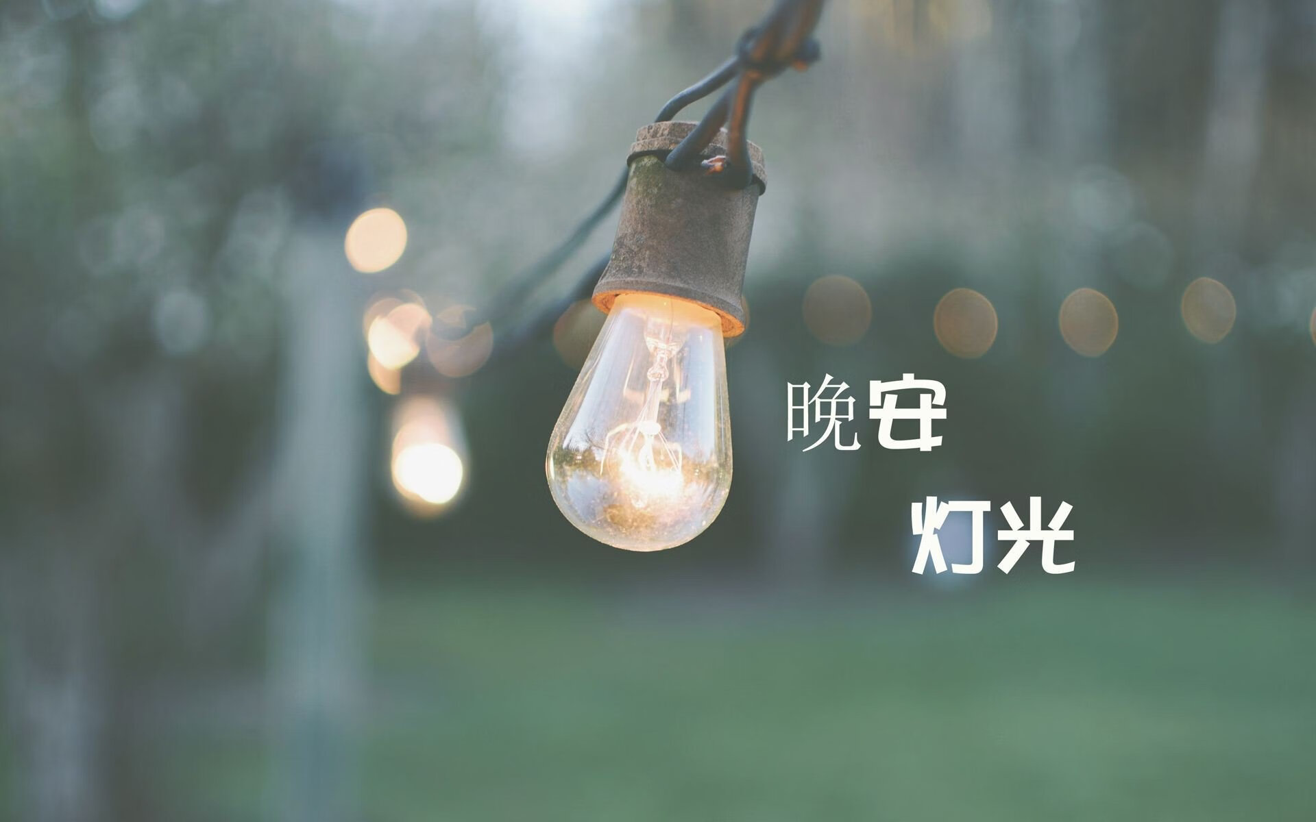 2026世界杯F组强强对话，匈牙利完胜伊拉克，卢卡库闪耀全场，红魔军团演绎默契足球新高度