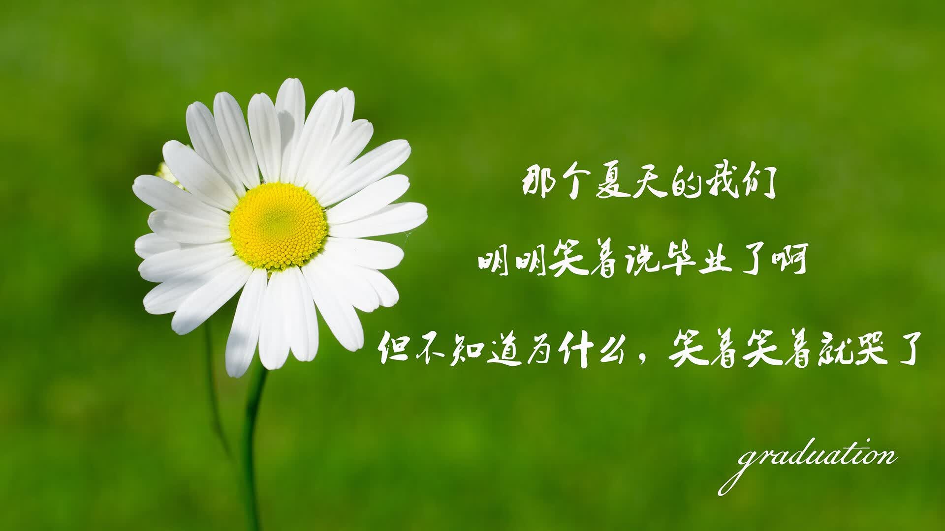 北非雄鹰震绿茵，哈基米导演神奇逆转，摩洛哥全场压制西班牙