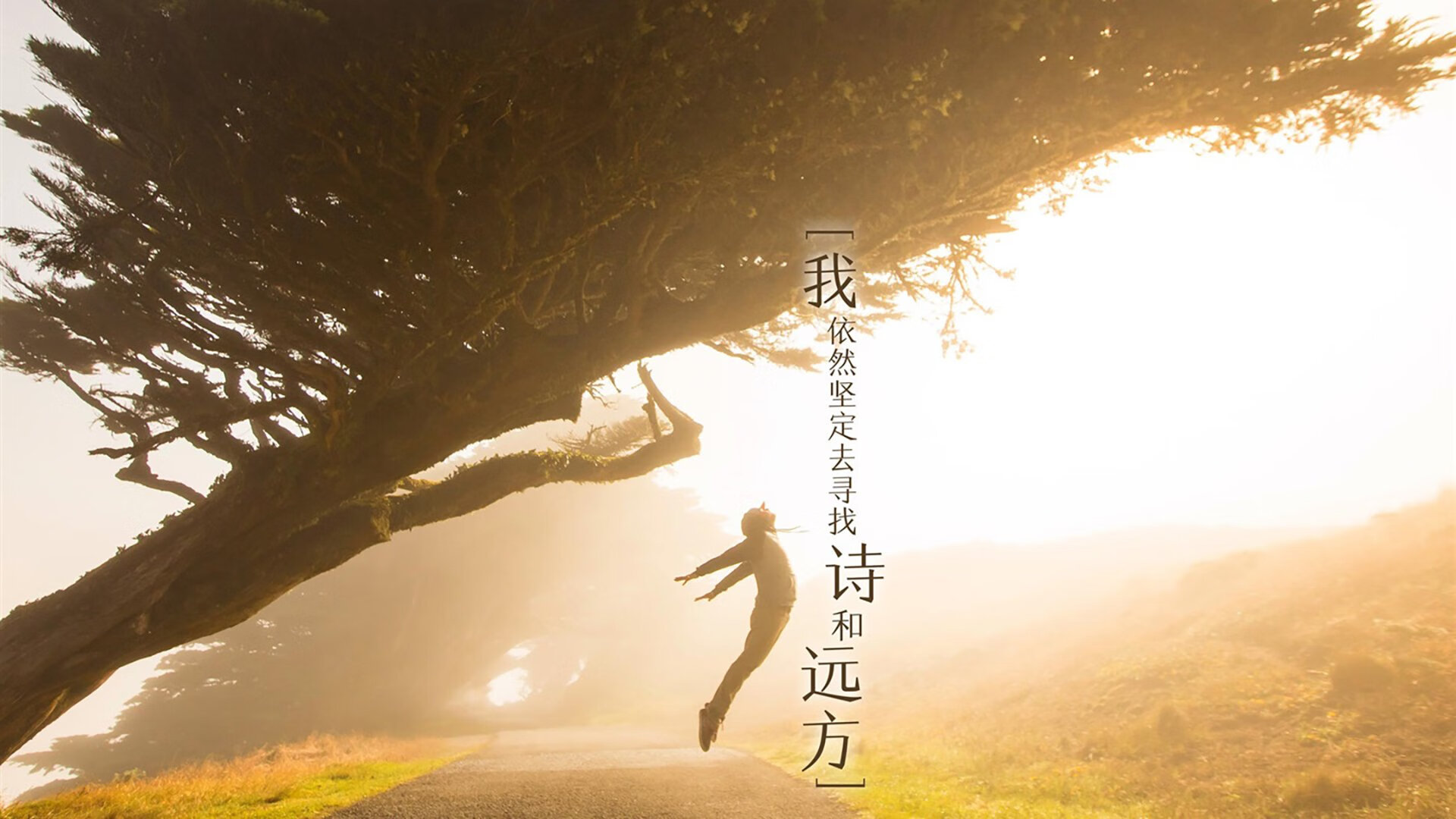 世俱杯赛程-沙漠风暴席卷郁金香—2026世界杯B组揭幕战，沙特横扫荷兰，阿方索·戴维斯致命一击改写历史