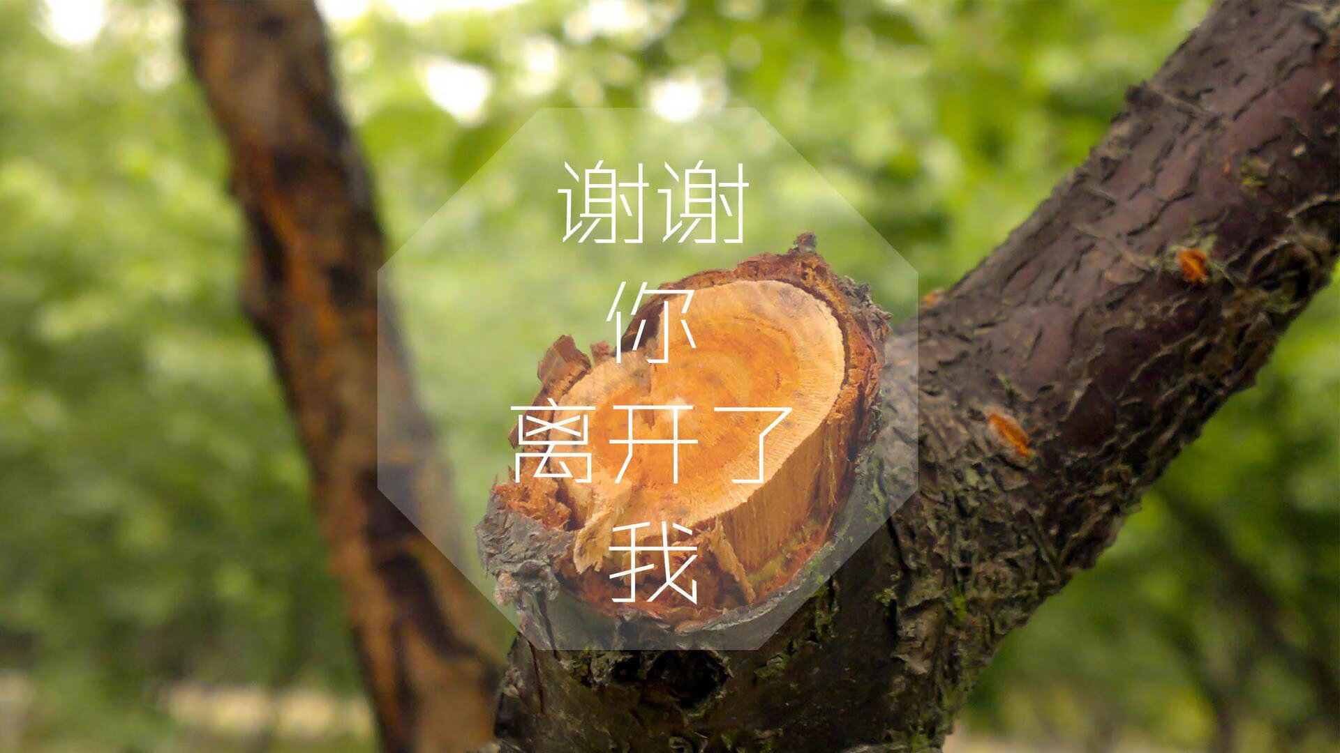 奇迹之夜,拉什福德导演惊天逆转,喀麦隆2-1力克波兰迎开门红