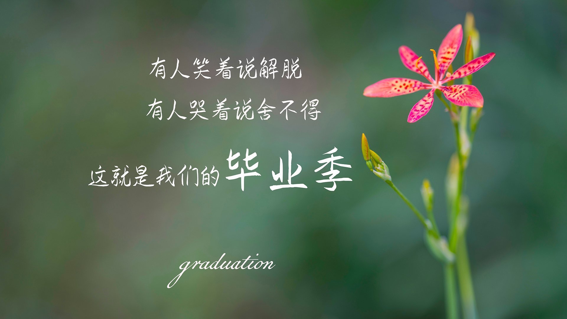 秘鲁风暴席卷B组，阿方索·戴维斯闪耀全场，巴西吞下完败苦果